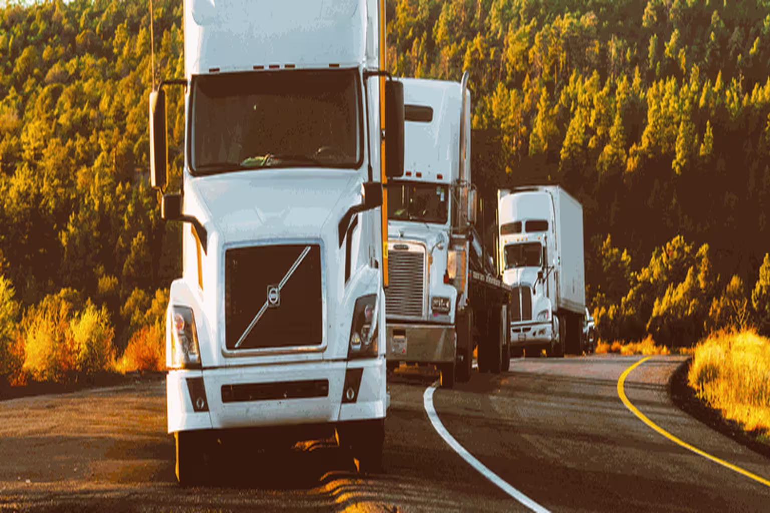 Line of white commercial semi-trucks traveling on highway with autumn foliage in background
