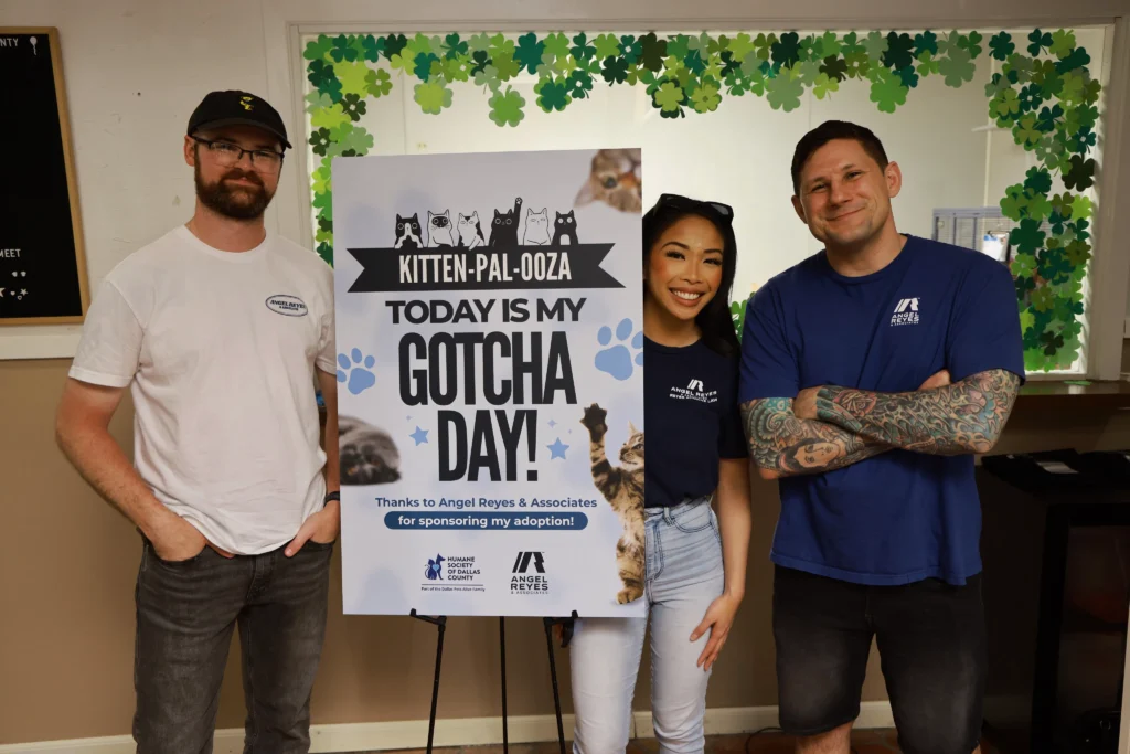 Angel Reyes & Associates Unites DFW Residents with New Furry Friends